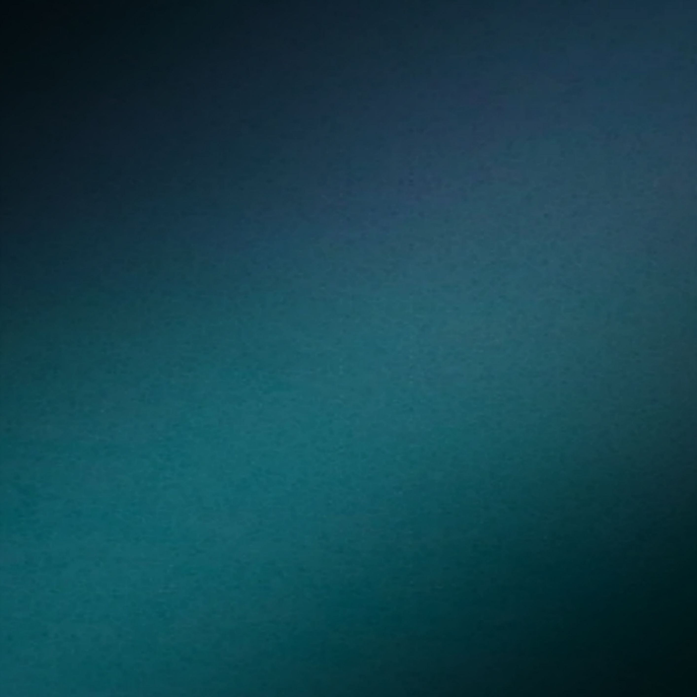 FIRST 10 ORDERS FREE